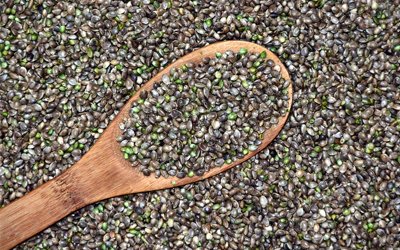 Hemp Seeds