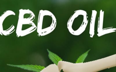 CBD Oils For Bones Healing