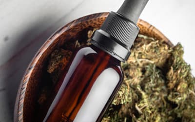 CBD for Travellers