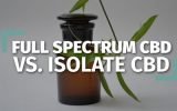 Full Spectrum CBD Oil Vs Isolate CBD