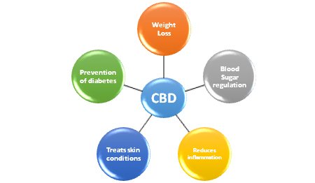 CBD for Diabetes